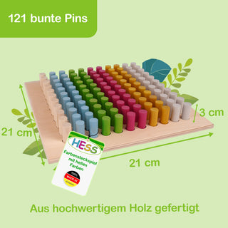 „Ein quadratisches Holzbrett (21 × 21 cm, 3 cm hoch) mit 121 bunten Pins in Blau, Grün, Rot, Gelb und Grau, die in Reihen angeordnet sind. Oben links steht auf grünem Hintergrund: ‚121 bunte Pins‘. Unten rechts befindet sich der Schriftzug: ‚Aus hochwertigem Holz gefertigt‘. Ein Etikett am Brett zeigt das Logo ‚HESS‘, den Text ‚Farbensteckspiel mit hellen Farben‘ und ein Siegel ‚100% MADE IN GERMANY‘.“