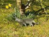Garden stake cat running